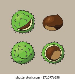 Chestnuts set. Illustration of chestnut vector icons. Isolated chestnut on gray background.