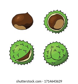 Juego de nueces. Ilustración de iconos vectoriales de castaño. Castaño aislado sobre fondo blanco.