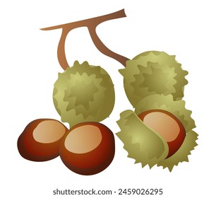 Chestnuts with shells and branch in flat design. Seasonal brown tree nut. Vector illustration isolated. svg