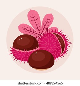 Chestnuts vector illustration. Three different pink chestnuts on light cream background. Autumn/fall composition