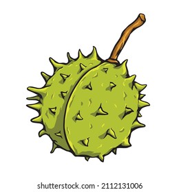 Chetsnut vector isolated. Open chestnut with thorns. Stock catoon illustration.
