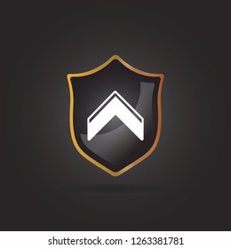 chevron icon for rank