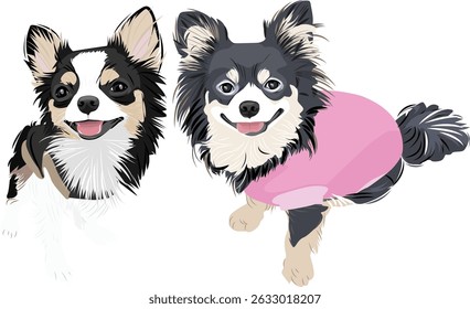 Chi hua hua tiny dogs Cute puppy illustration