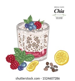 Chia cocktail hand drawn. Colorful chia seeds, raspberry, lemon slice, fresh mint and blueberry isolated on white background. Healthy food collection. Vector illustration.