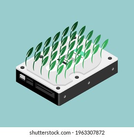 Chia coin plotting hdd. Sprouts seedling hard drive. Mining cryptocurrency on hard drives