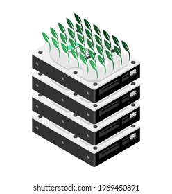 Chia coin plotting hdd. Sprouts seedling hard drive. Mining cryptocurrency on hard drives
