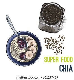 Chia Seeds. Full Color Super Food Hand Drawn Sketch Vector Illustration.