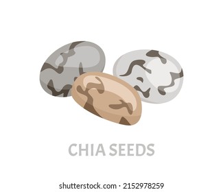 Chia Seeds Icon. Vector Cartoon Flat Illustration.