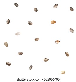 Chia Seeds Isolated Seamless Vector Pattern.