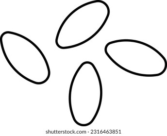 chia seeds nuts kernel fruit seed Outline