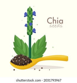 Chia seeds with plant. Flat style