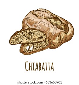 Chiabatta, full color hand drawn vector illustration