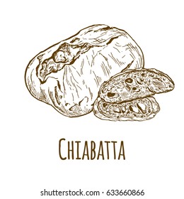 Chiabatta, hand drawn vector illustration