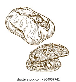 Chiabatta, hand drawn vector illustration