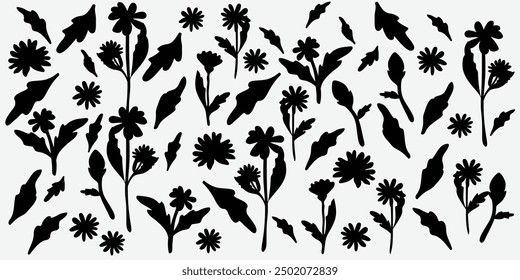 Chic black and white floral patterns with various flowers and leaves in a detailed, seamless design