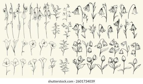 Chic decor with black line art bellflowers, hand-drawn greenery, botanical floral branches, elegant wedding herbs, perfect for modern wedding invitations, branding, and stationery, wedding design