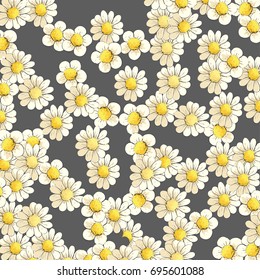 Chic flowering daisies on a dark background