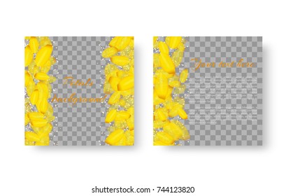 A chic romantic background with delicate petals of blooming tulips on a transparent backdrop