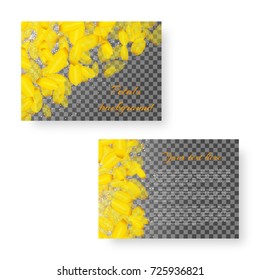 A chic romantic background with yellow petals of flowering daffodils on a transparent background