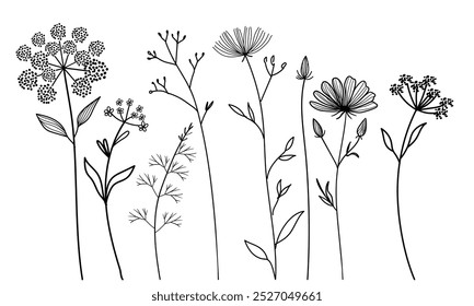 A chic and stylish collection of wildflower line art, perfect for elegant decor and modern graphic projects.