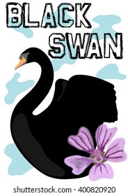 Chic T-shirt graphic design with "Black swan" text, hand drawn black swan clip art and "Dwarf Mallow" (Malva Neglecta) flower drawn with water color brush on a white background.