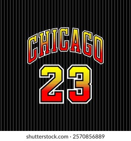 chicago 23 basketball vintage vactor