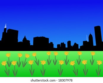 Chicago skyline in spring with daffodils illustration
