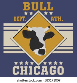 Chicago sport typography t-shirt champion college team bull icon - vector