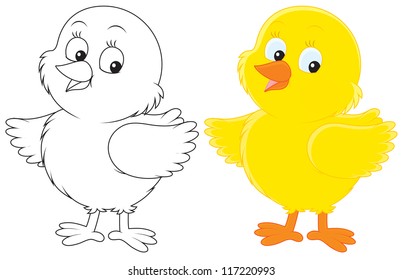 Chick