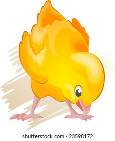 Chick