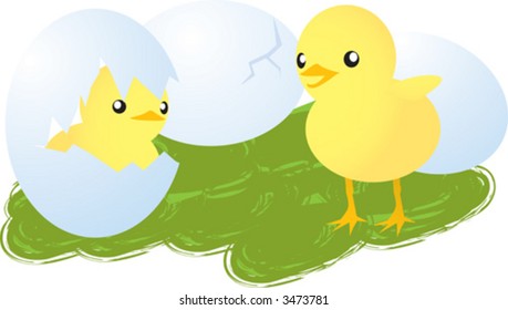 CHICK