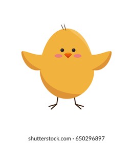 chick animal cute