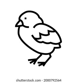 chick bird line icon vector. isolated contour symbol black illustration