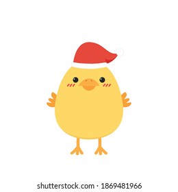 Diseño de caracteres de pollo. Vector de dibujos animados de polluelo.
