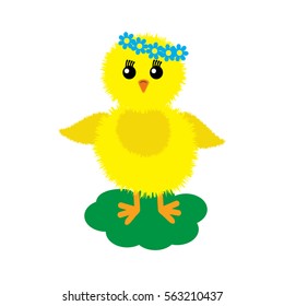 chick chicken Easter