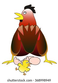 A chick and the chicken which laid eggs.