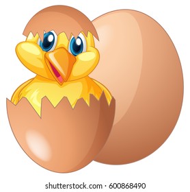 Chick coming out from egg illustration