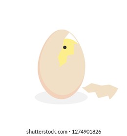 chick in egg graphics logo