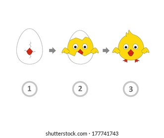 chick from egg info graphics