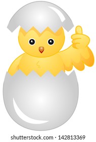Chick Egg Ok