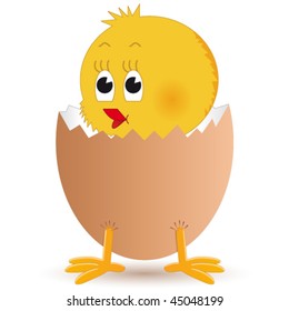 chick in the egg - vector illustration