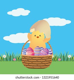 chick with eggshell