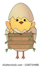 chick with eggshell
