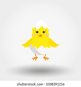 Chick in Eggshell. Icon for web and mobile application. Vector illustration on a white background. Flat design style.