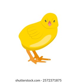 Chick Flat Icon, Vector illustration
