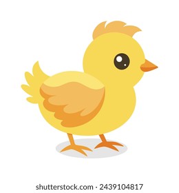 Chick flat vector illustration on white background