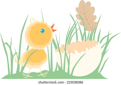 chick in the grass