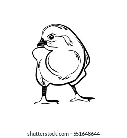 Chick hand drawn. Vector illustration isolated design on white background