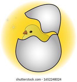 The chick has hatched from an egg. The eggshell is cracked. Two shells from a chicken egg. Colored vector illustration. Isolated yellow background. Sequins. Yellow bird. Eggshell shards. Cartoon style