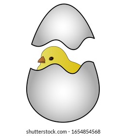 The chick has hatched from an egg. The eggshell is cracked. Two shells from a chicken egg. Colored vector illustration. Yellow bird. Eggshell shards. Cartoon style. Isolated background. 